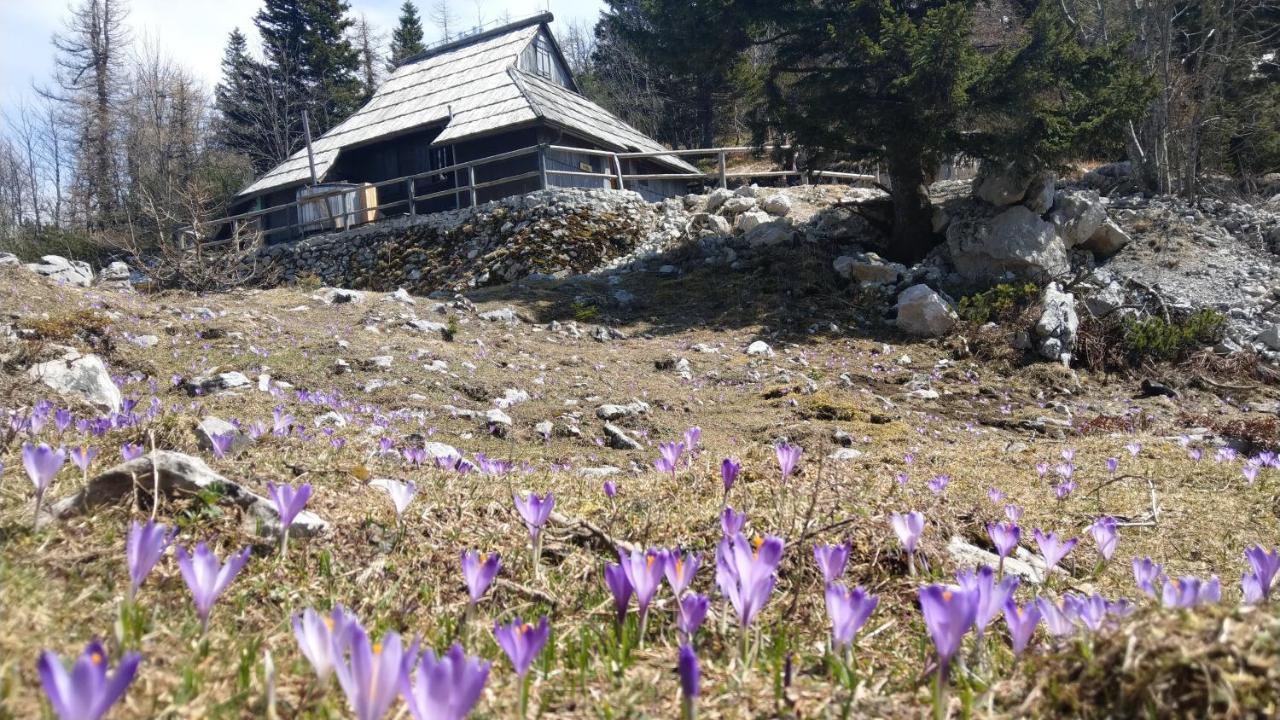 Chalet Pehta Velika Planina Stahovica ภายนอก รูปภาพ