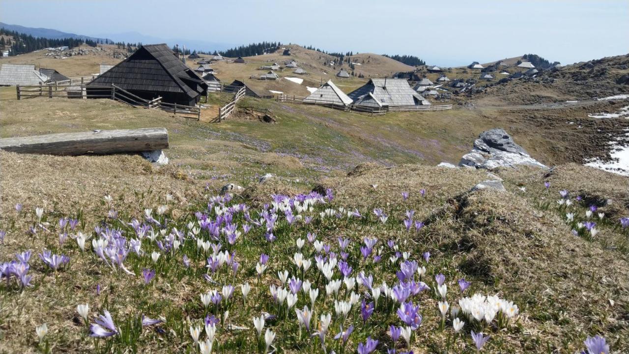 Chalet Pehta Velika Planina Stahovica ภายนอก รูปภาพ