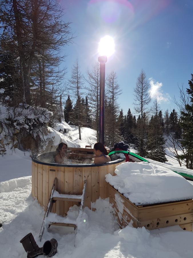 Chalet Pehta Velika Planina Stahovica ภายนอก รูปภาพ